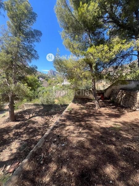 Foto ad28d1c2-d6bd-46f1-8007-f6eb1ffcddbd. Propriété dans Canuta Calp