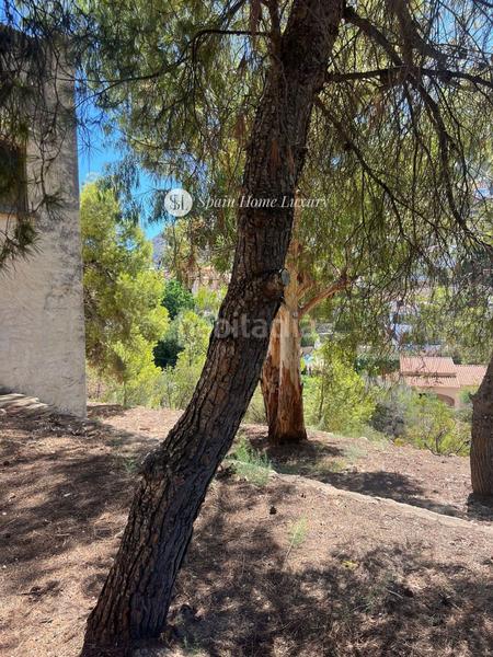 Foto cfe7bfdb-18e1-46b5-88f4-6bed28ac60d1. Propriété dans Canuta Calp