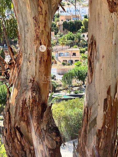 Foto 0da0c1d3-6cb7-43d1-a6c0-4e776a864c1a. Xalet amb aparcament a Canuta Calp