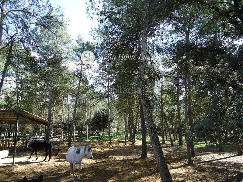 Foto 53104a12-7bcb-40ab-bf37-2141cb2ff5e1. Chalet in Bocairent