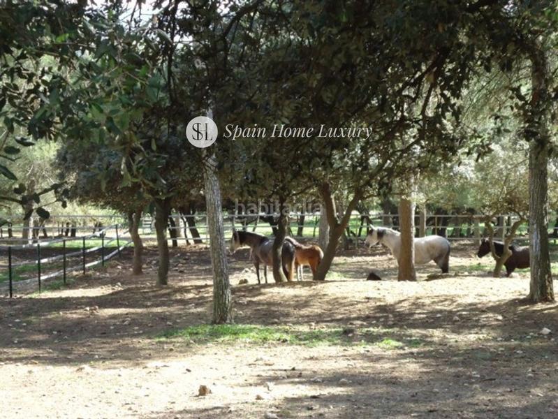 Foto 827681bd-860e-4028-a8fc-5f0b47d554da. Chalet in Bocairent