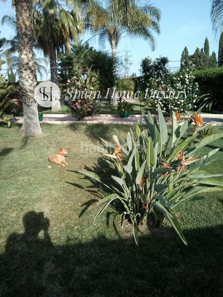 Foto ee7ae3f0-fac6-4525-9278-3cd9c36c9466. Chalet en San Antonio de Benagéber