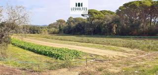 Terreny residencial a Llofriu