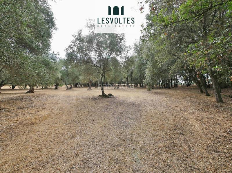 Foto 90bb861b-06a6-465a-aea7-52dbc8058fb2. Casa amb piscina a Rupià