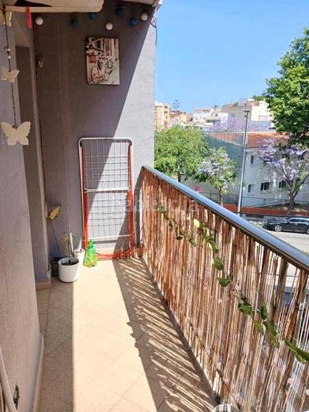 Foto 754589e4-d5b8-4f41-9cd6-1ae8e6a4e7c6. Piso en Centro Urbano Dénia
