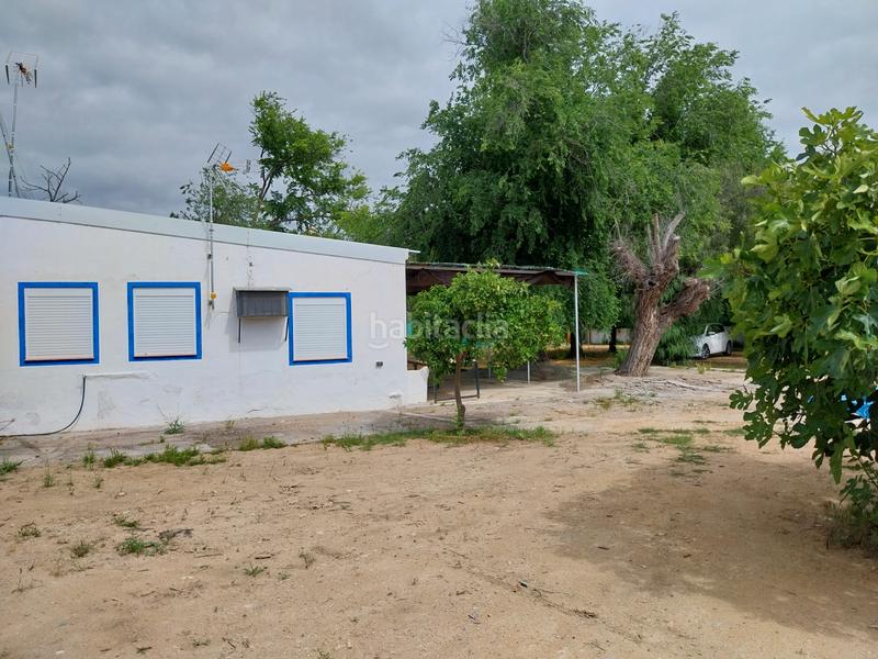 Foto 1f417bc2-c9a7-4502-85ce-575794dbe496. Xalet amb piscina a Marchena