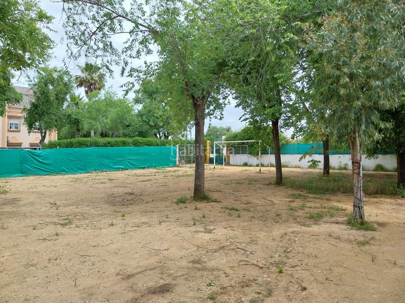 Foto 6a4f977e-597e-452b-a3fe-856e17aa439f. Xalet amb piscina a Marchena