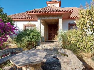 Rural plot in Marchena