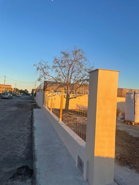 Foto fbf8104f-257a-4e1b-94d5-48d9c565165b. Finca rústica a calle mar del norte 2 a Centro Alcázares (Los)