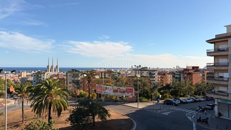 Foto 56db3506-370e-40eb-bc87-7497e7505199. Pis a Sistrells Badalona
