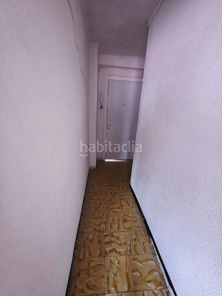 Foto 19bf1569-9eb0-4fe1-8546-dd78052cb12e. Pis a Ripoll