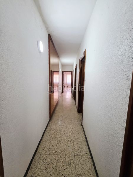 Foto c7f5512e-1c60-4e29-a2a9-c6c233400e98. Pis a Can Palet Terrassa