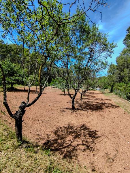 Foto 118e800e-123c-479f-b4a7-8d41c6716fc7. Xalet amb xemeneia calefacció a Castellfollit del Boix