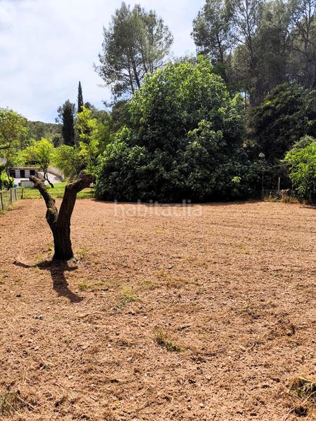 Foto f715f6cc-39f6-45a1-a16f-d6a1d97b9c39. Xalet amb xemeneia calefacció a Castellfollit del Boix