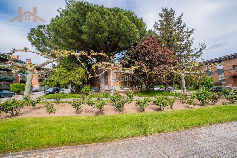 Foto 8b98cdb3-57b2-4e29-9f53-870870e9f3fd. Pis amb xemeneia calefacció aparcament piscina a Collado Mediano