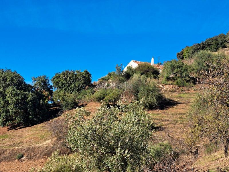 Foto 6f86de93-2d25-4b47-8651-a3b25bbfab2e. Chalet in Colmenar