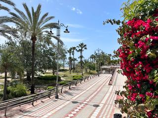 Local commercial  Calle tamarindos