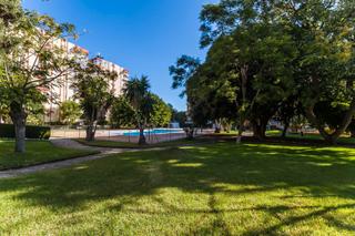 Estudi  Avenida gamonal