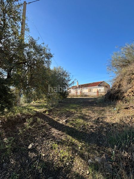 Foto 0643e9d7-9ec4-4881-b9ab-3e8dc438de9e. Xalet a Colmenar