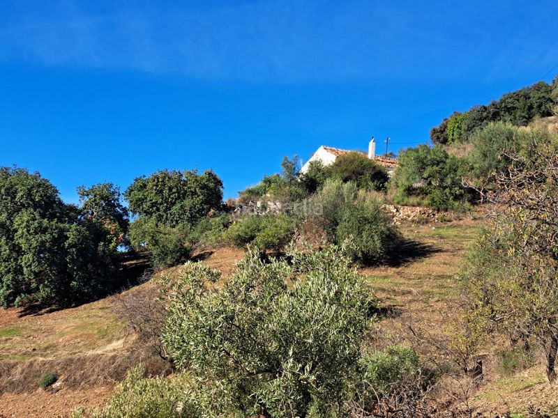 Foto 931c561a-274a-426a-9b39-8238cc2ab5b0. Chalet en Colmenar