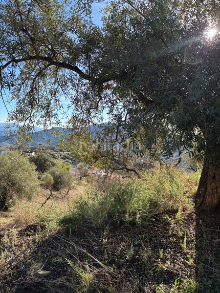 Foto cbf484d8-c555-4672-ab91-41e7496c3759. Chalet en Colmenar