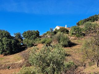 Chalet  Calle camino de solano