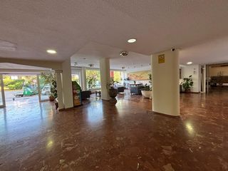 Studio  Avenida gamonal