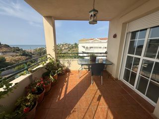 Rent Flat  Calle jabea 3p