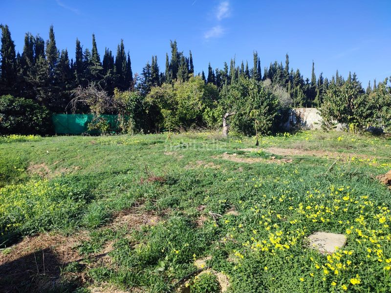 Foto b2922832-cde5-475a-9d78-6cf4629442fe. Masia amb piscina a San Alberto - La Alcubilla - Florisol Málaga