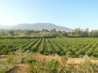 Finca rústica a Villafranco del Guadalhorce