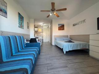 Alquiler Estudio  Avenida marysol