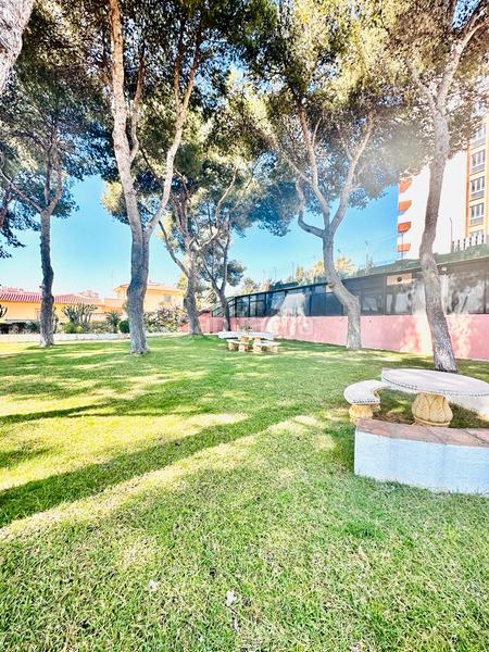 Foto 8d14017c-d181-473c-aeec-1e4fabc4bd81. Alquiler apartamento en El Pinillo Torremolinos
