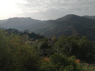 Xalet  Calle camino de malaga