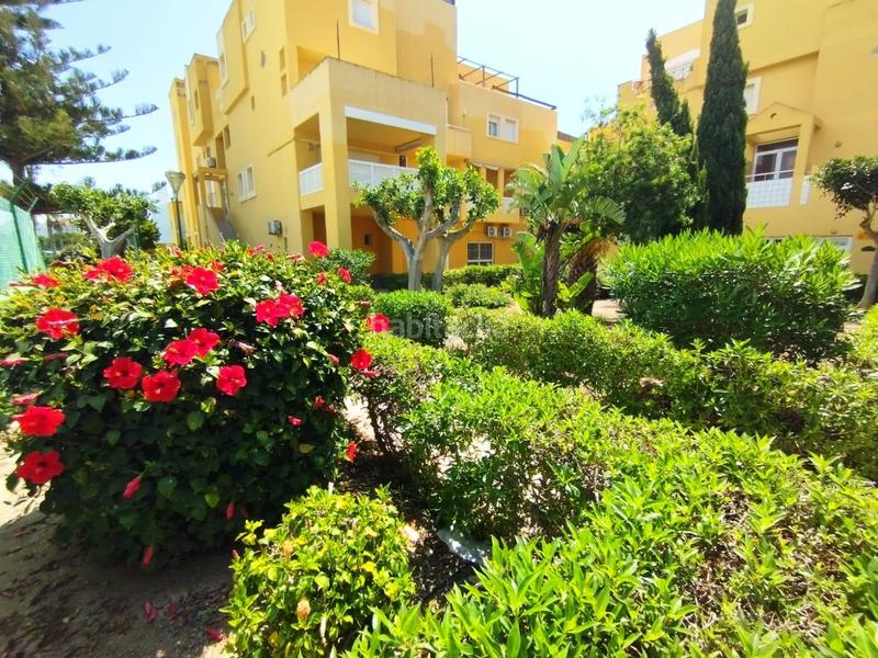 Foto 13316d50-8714-4305-8cde-c8a67515bdf9. Alquiler piso se alquila piso a profesores o sanitarios con vistas al mar en playa serena, . en Roquetas de Mar