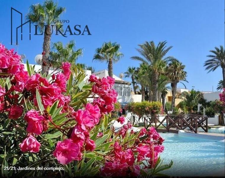 Foto 16f20fa4-83d7-4105-b46d-593ffafcdbba. Alquiler piso  para vivir todo el año junto al mar!!!!..ocasion!!! en Roquetas de Mar