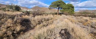 Finca rústica a Gérgal. Ocasión, bajada de precio!!! venta de terreno en gergal con posi