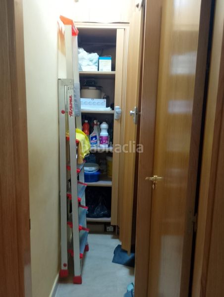 Foto a30075cd-3242-4b3b-9660-711d98cb862d. Pis a Escalona