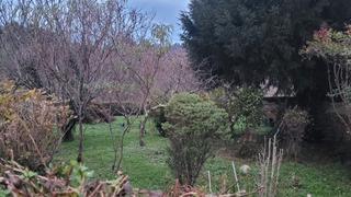 Terreny residencial  N/a. Piloña finca edificable semillana