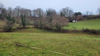 Residential Plot in Piloña