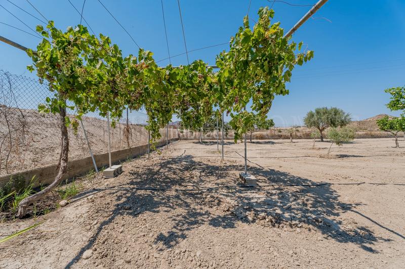Foto 52d5db8e-cc27-4af1-85fb-6d980284f8e3. Masía un cortijo pintoresco independiente con terreno en burjulú en Cuevas del Almanzora