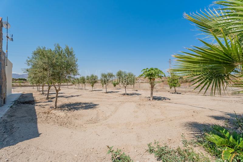 Foto 97a5e0e9-fc4c-49be-a366-65ea824c02f4. Masía un cortijo pintoresco independiente con terreno en burjulú en Cuevas del Almanzora