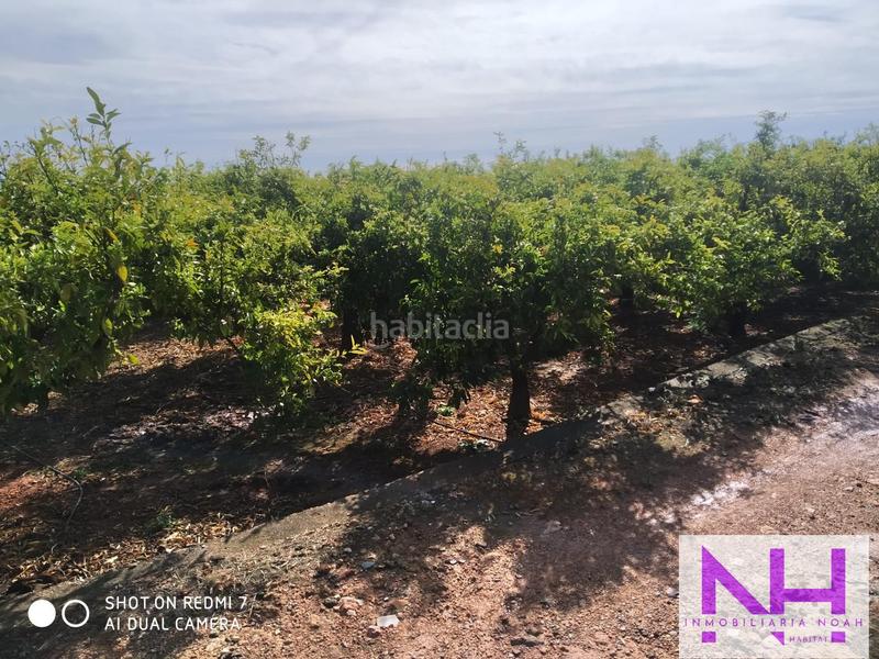 Foto 2cb244e6-742c-428d-850d-a627bce02a93. Masía finca en Artana