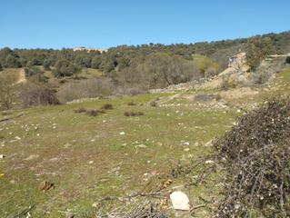 Residential Plot in Avenida la calera 22. Parcela en santa maría de la alameda