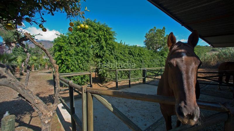 Foto 0b8a533a-07b5-4342-871f-1eefa3b3f02f. Propriété dans Cancelada Estepona