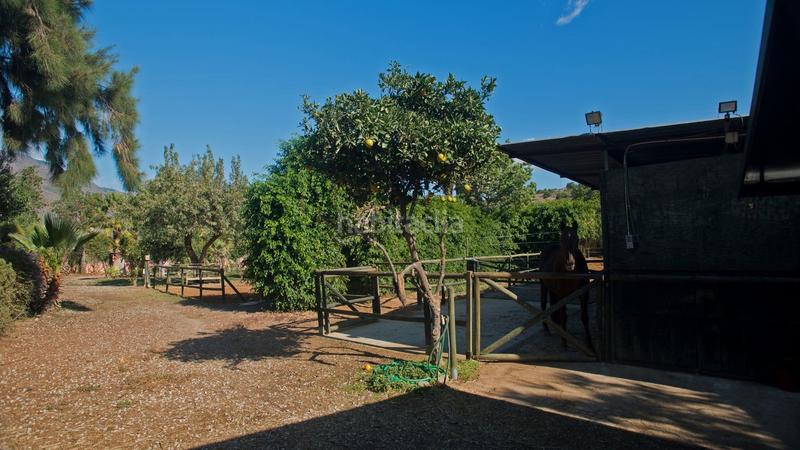 Foto c765a5eb-8940-4d63-be90-f82012a78750. Propriété dans Cancelada Estepona