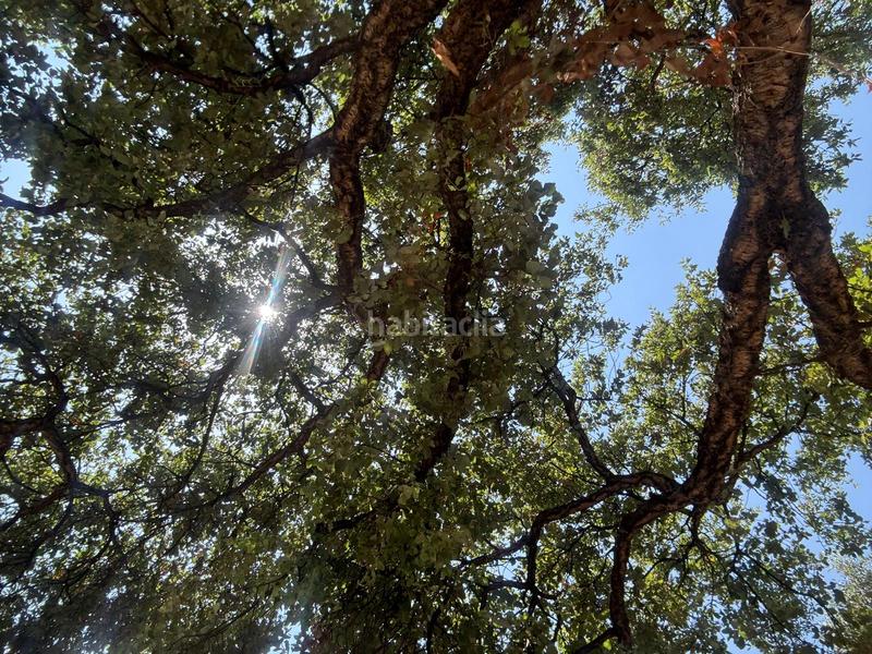 Foto 33af9320-22f1-4125-807b-e74a26bbcef9. Finca rústica a El Velerín Estepona