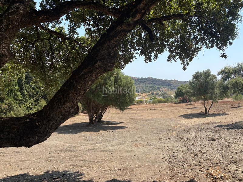 Foto 38a9f5d3-1739-4027-9567-04ae8af52443. Finca rústica a El Velerín Estepona