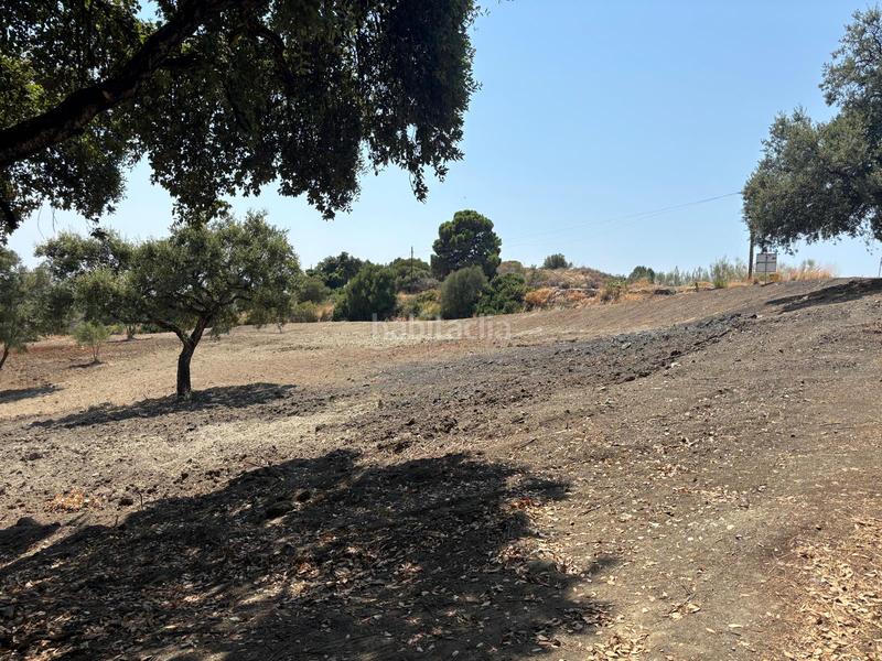 Foto 668849b1-703e-4674-a295-cdae4d9be5db. Finca rústica a El Velerín Estepona