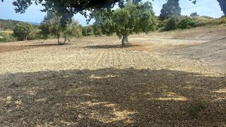 Finca rústica  Camino nicola. Terreno con licencia obra nueva proyecto casa 250m2