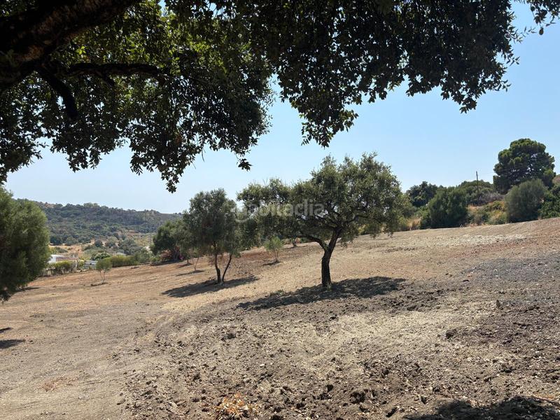 Foto 9a64fe2a-2593-4e2d-92ef-5a8f85f661cc. Finca rústica a El Velerín Estepona